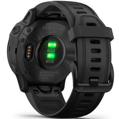 Спортивные часы Garmin Fenix 6S Pro Black With Black Band 010-02159-14